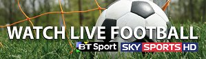 Bees Knees pub, showing all live games on SKY Sports & BT Sport